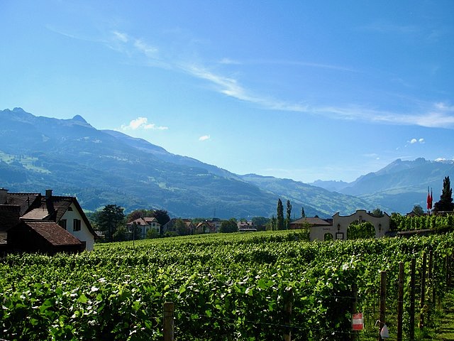 Hoffkellerei des Fürsten von Liechtenstein